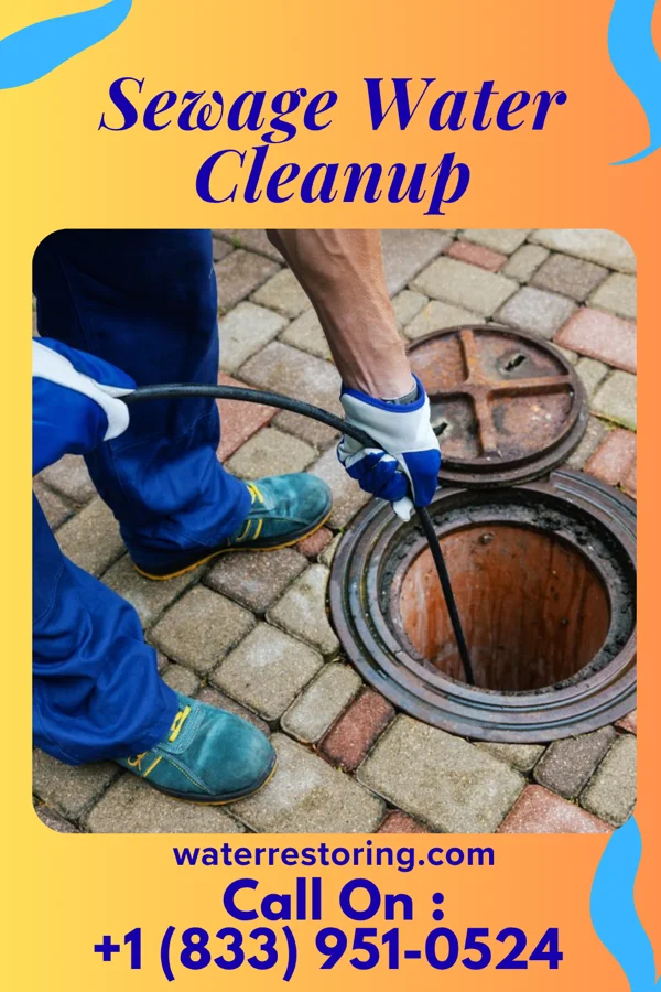 Sewage Water Cleanup in Malmo, NE
